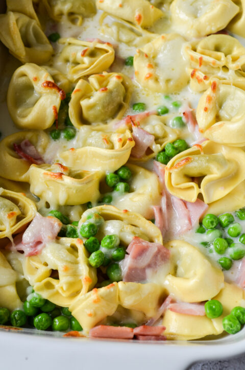 Die besten Auflauf Rezepte - Mycarbcrew